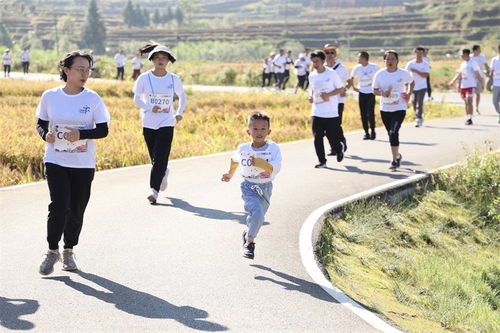 腾冲市推进全民运动健身工作综述