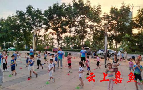 嘉鱼市民休闲新风尚 健身运动与场地设施经营共赢