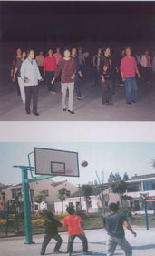 休闲与健身的和谐交响 探索身心合一的休闲健身活动