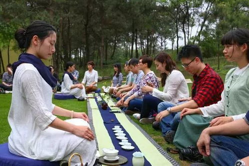 99元畅玩海洋公园 场地与设施的创新经营之道