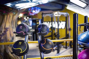 bananafitness香蕉人健身工厂移动端 打造您的随身健身休闲伙伴